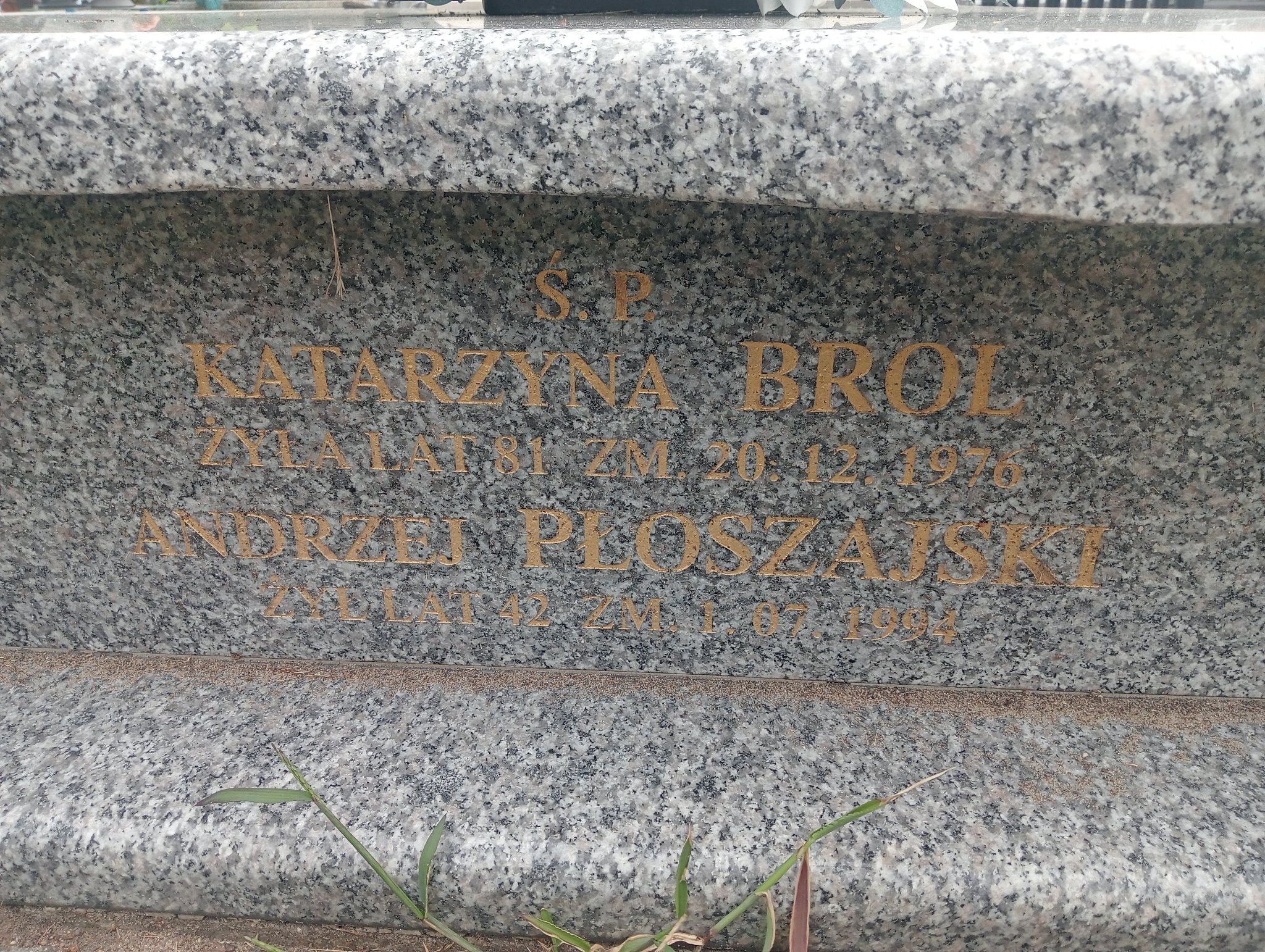 Zdjęcie grobu